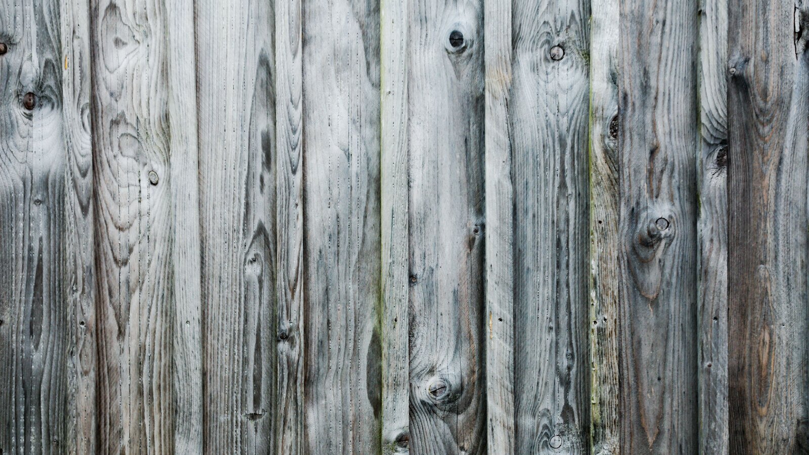 Fencing