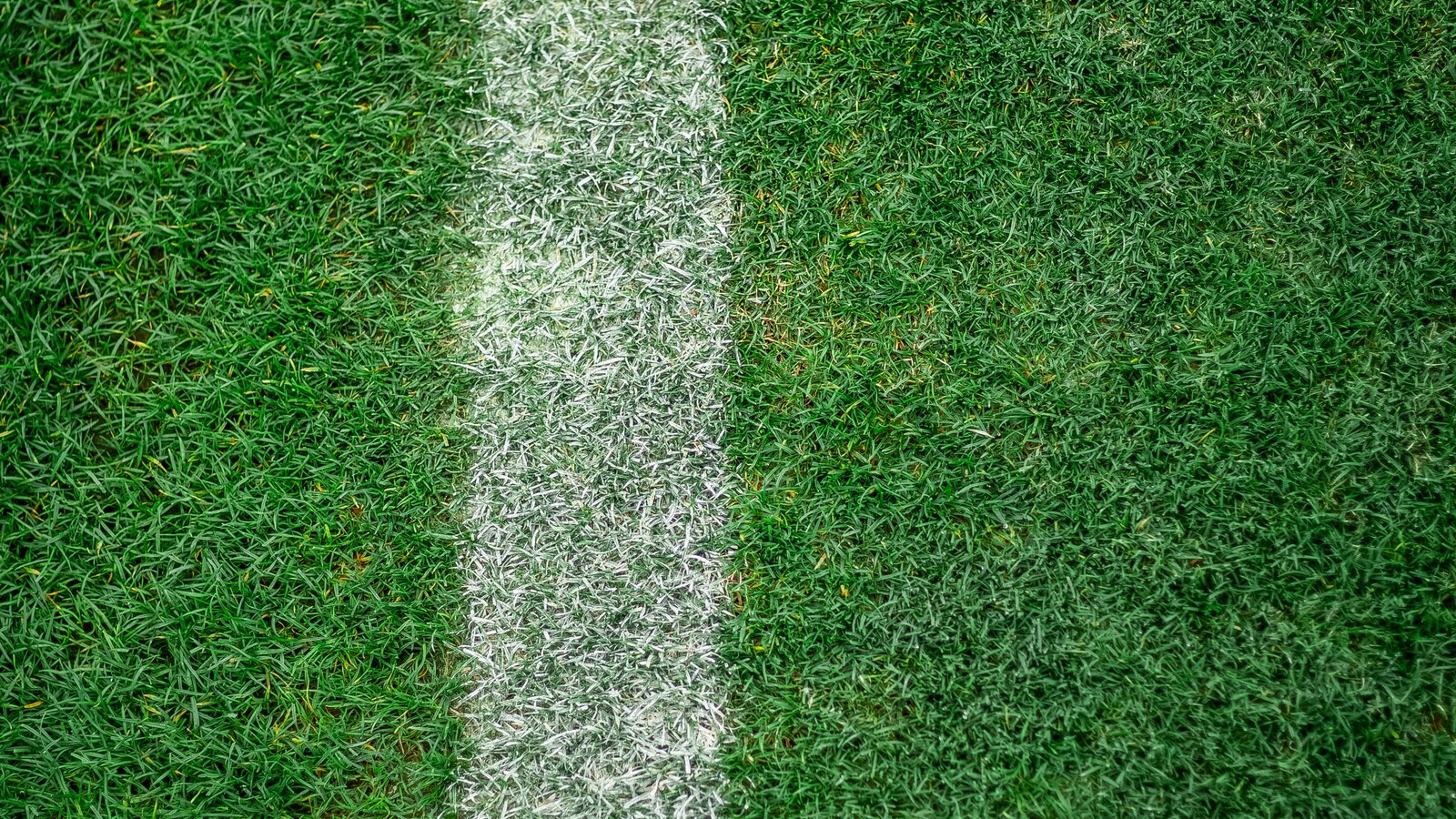 Lawns