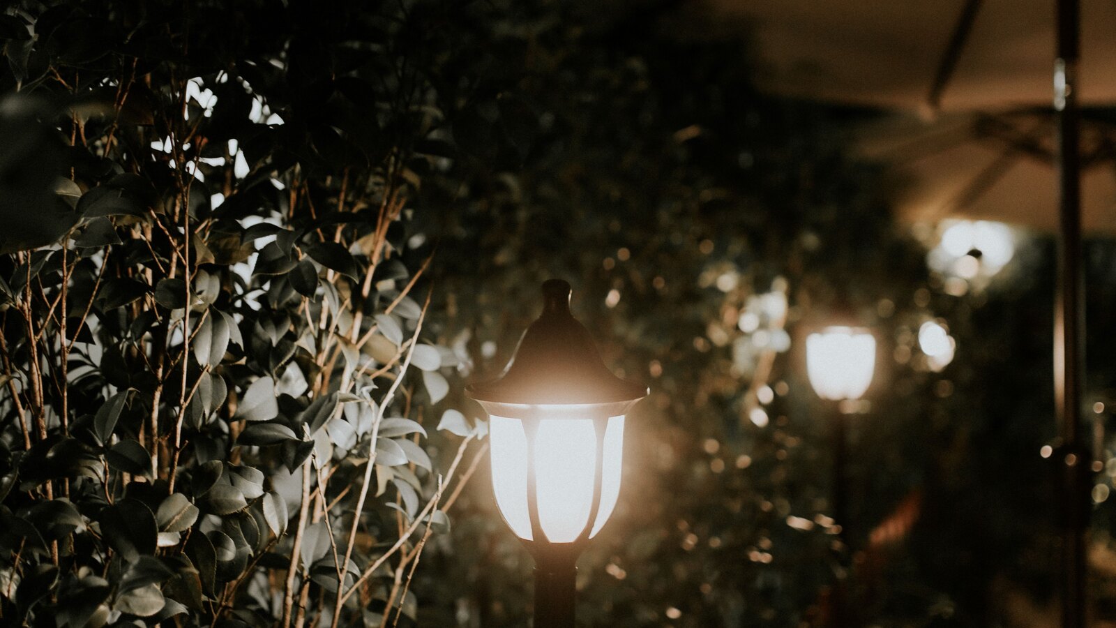 Garden lighting