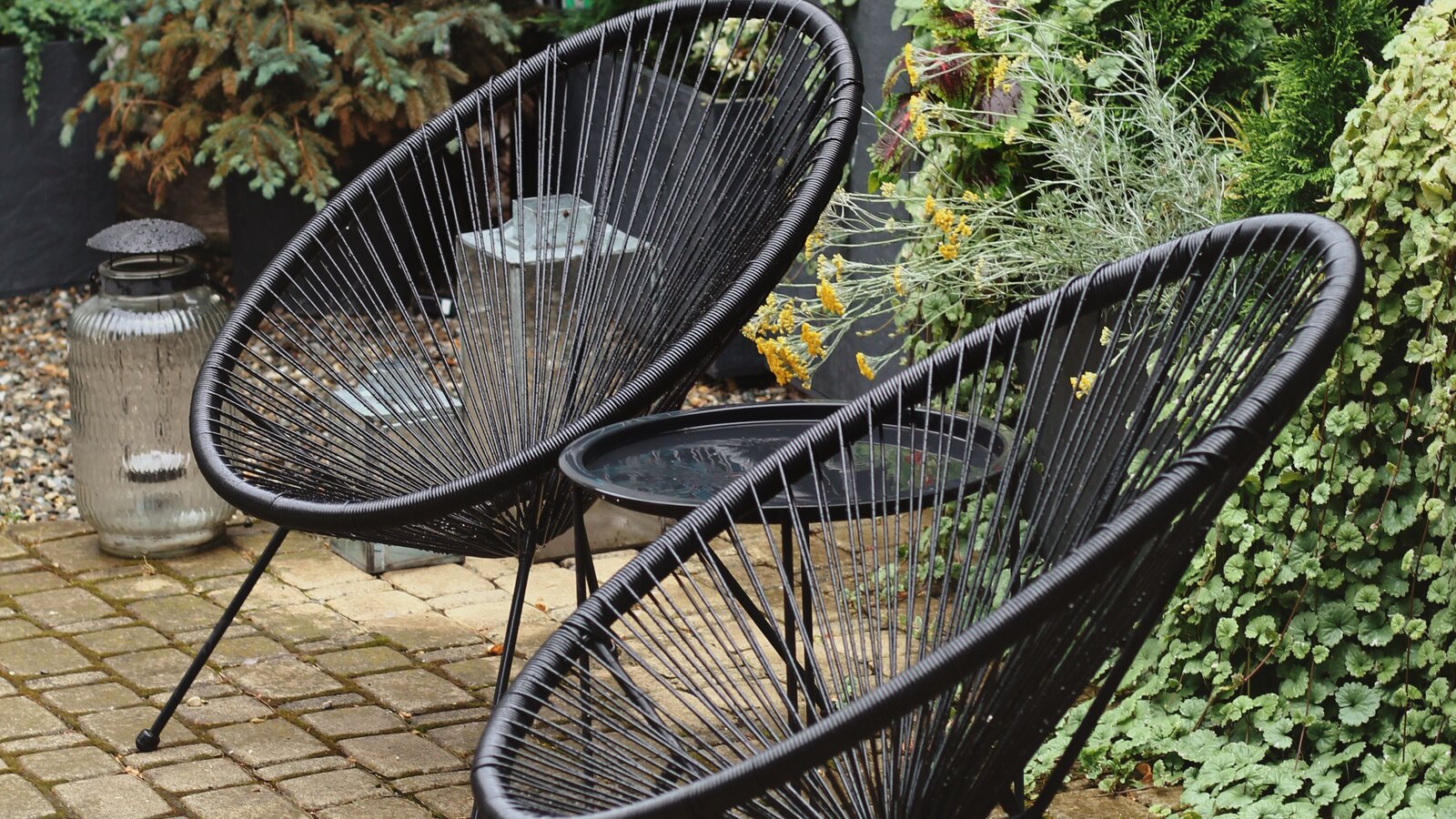 A modern garden with paving and planting