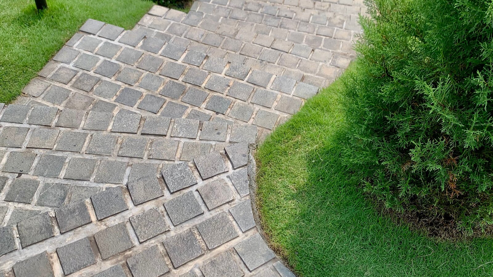 A stone paved path