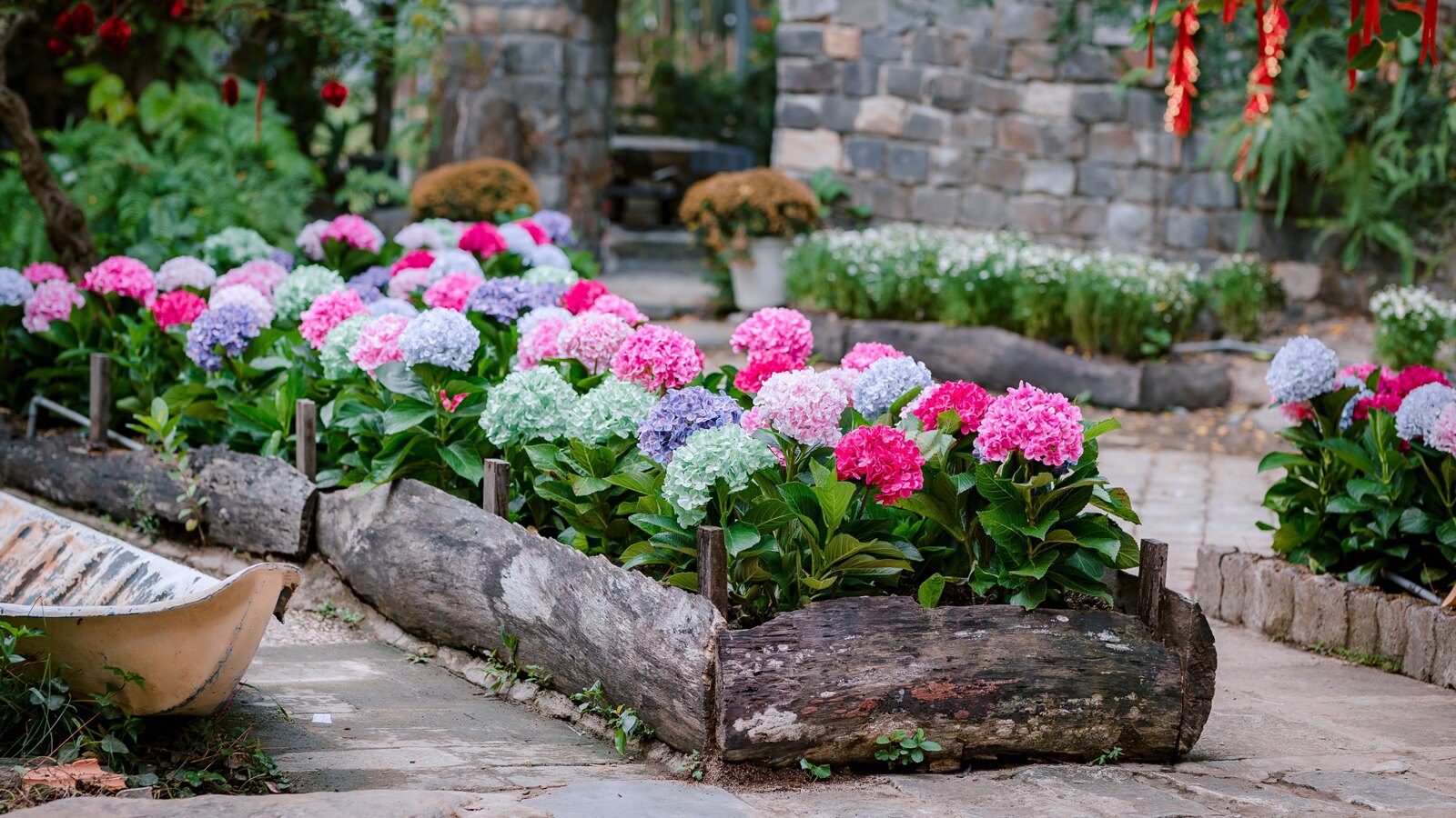 A path through the beds
